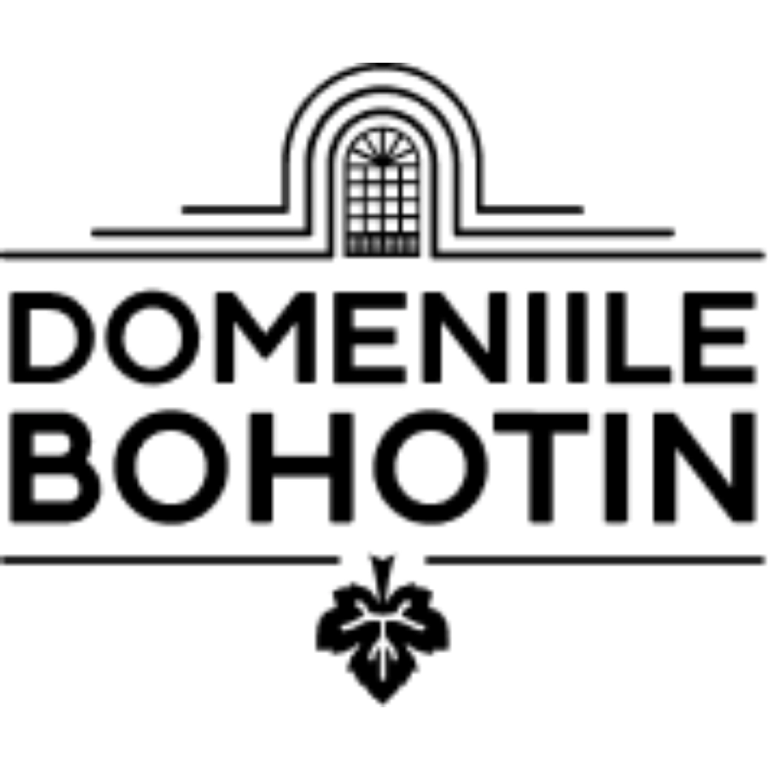 straighttoyou - Agentie de marketing Iasi